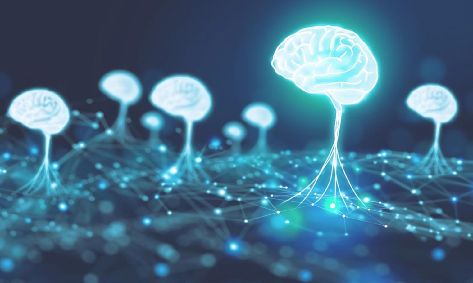 Natural language processing workflow visualization